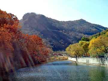 新澳天天开奖资料大全旅游团，2012龙票价格